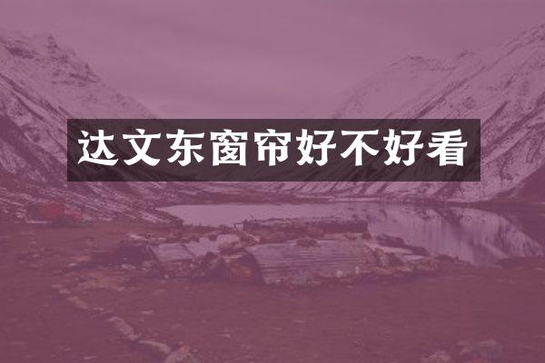达文东窗帘好不好看
