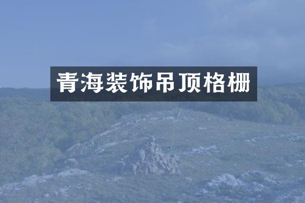青海装饰吊顶格栅