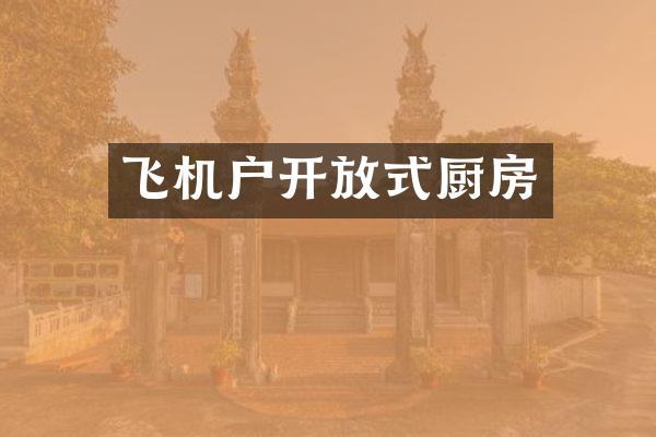 飞机户开放式厨房