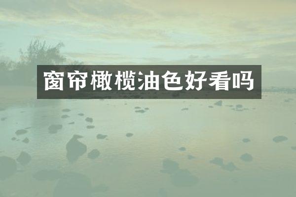窗帘橄榄油色好看吗