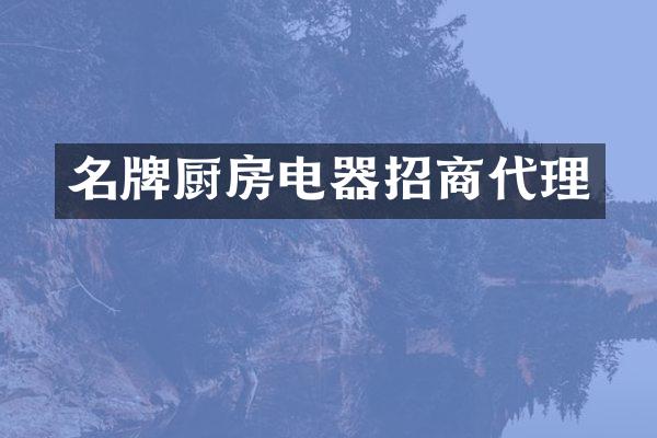 名牌厨房电器招商代理