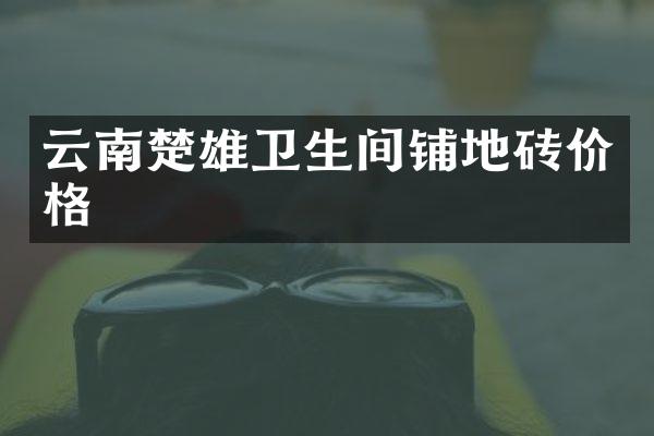 云南楚雄卫生间铺地砖价格