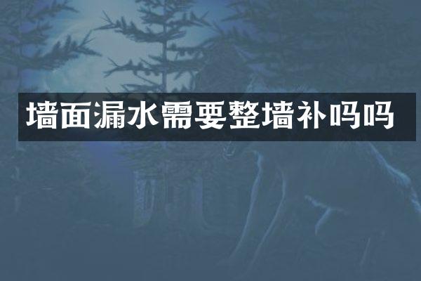 墙面漏水需要整墙补吗吗