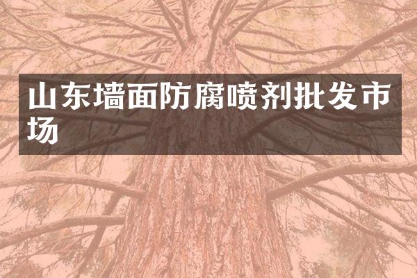 山东墙面防腐喷剂批发市场