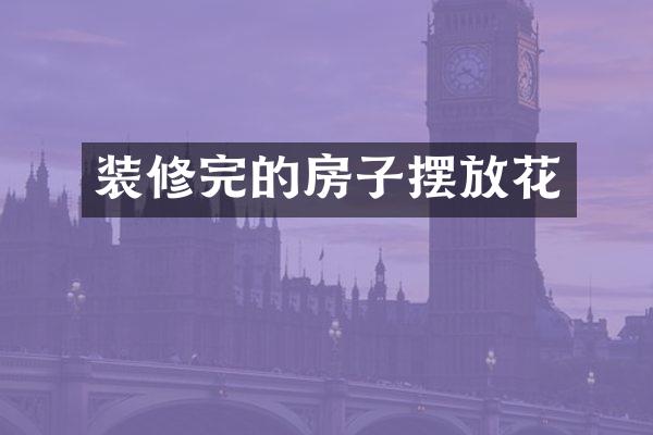 装修完的房子摆放花