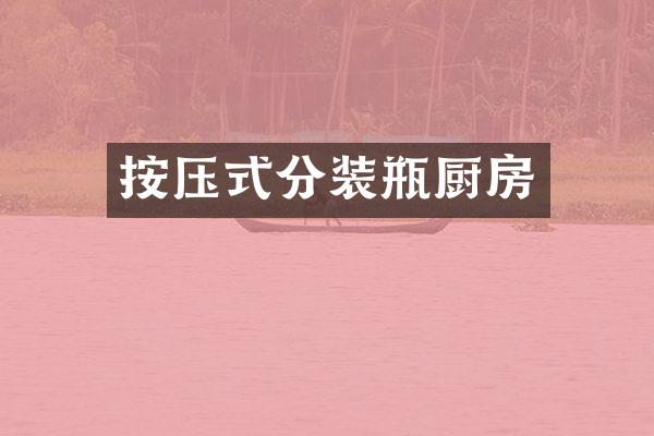 按压式分装瓶厨房