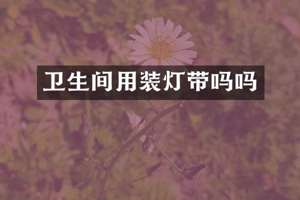 卫生间用装灯带吗吗