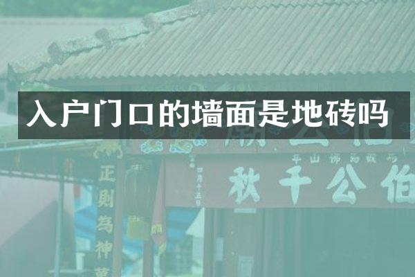 入户门口的墙面是地砖吗