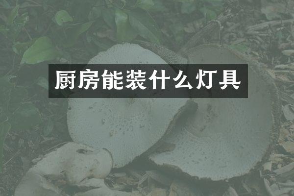 厨房能装什么灯具