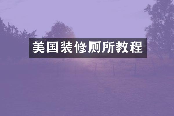 美国装修厕所教程