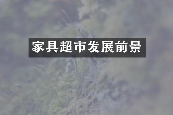 家具超市发展前景