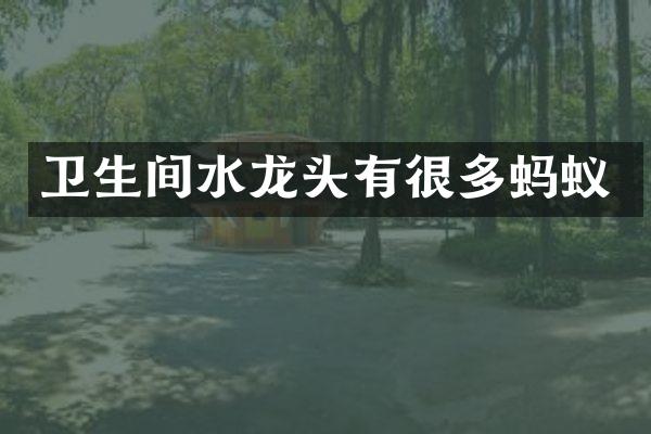 卫生间水龙头有很多蚂蚁