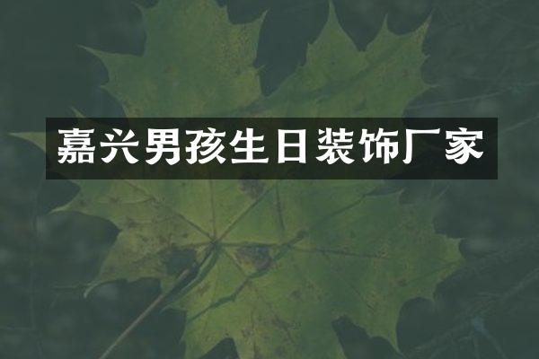 嘉兴男孩生日装饰厂家