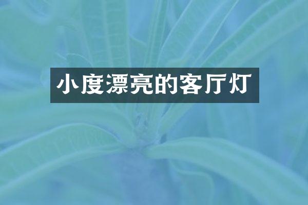 小度漂亮的客厅灯