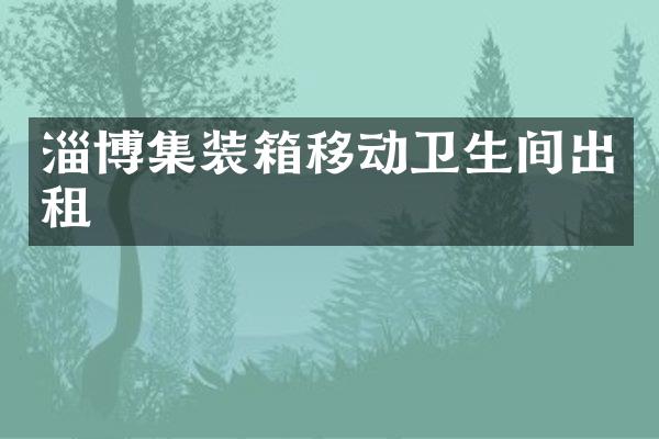 淄博集装箱移动卫生间出租