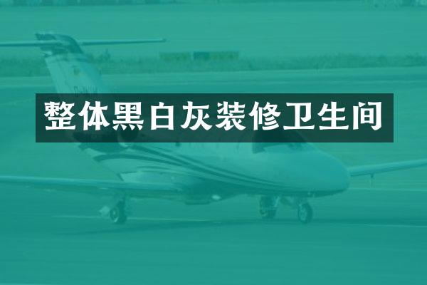 整体黑白灰装修卫生间