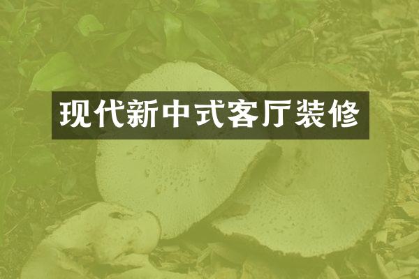 现代新中式客厅装修