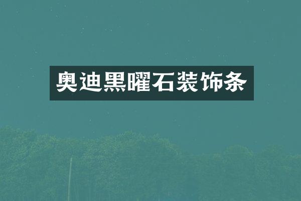 奥迪黑曜石装饰条