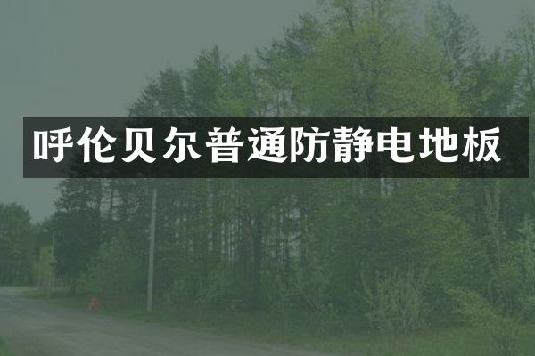 呼伦贝尔普通防静电地板