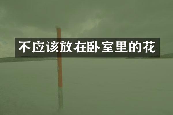 不应该放在卧室里的花