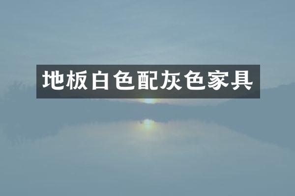 地板白色配灰色家具