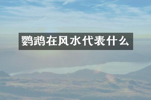 鹦鹉在风水代表什么