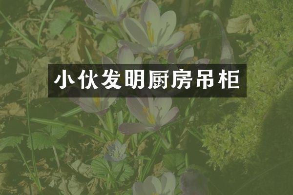 小伙发明厨房吊柜