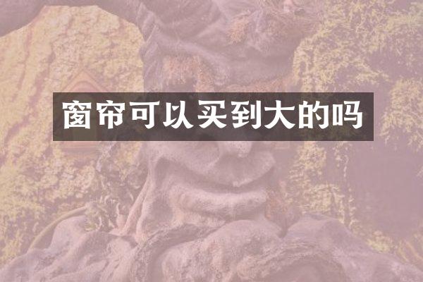 窗帘可以买到大的吗