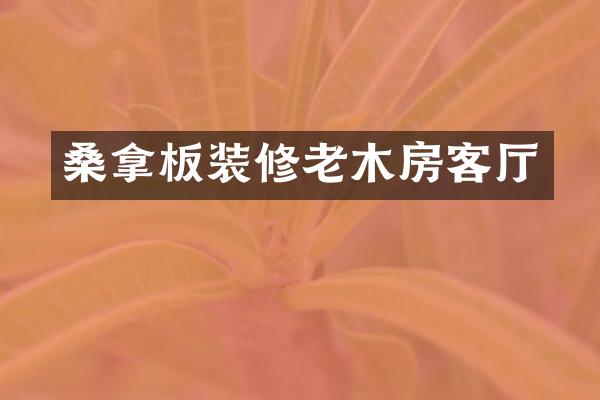 桑拿板装修老木房客厅