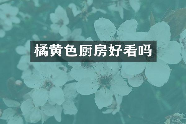 橘黄色厨房好看吗
