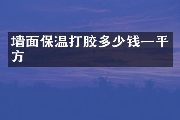 墙面保温打胶多少钱一平方