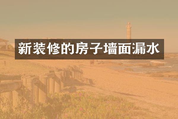 新装修的房子墙面漏水