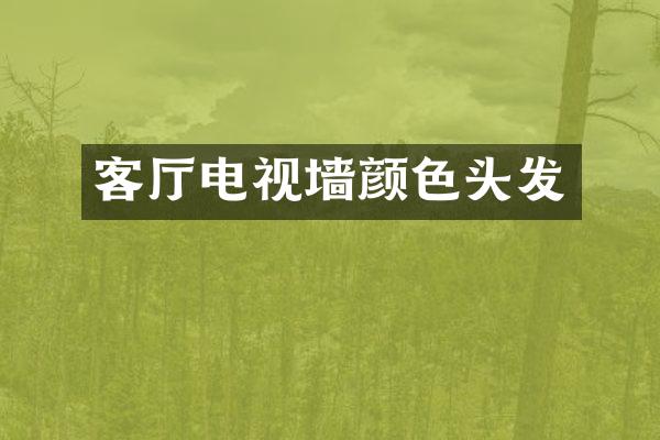 客厅电视墙颜色头发