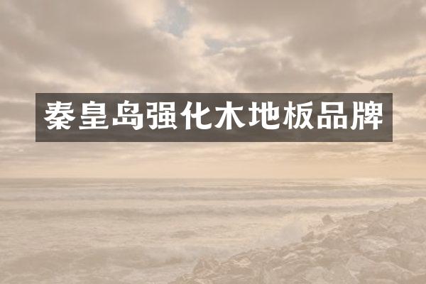 秦皇岛强化木地板品牌