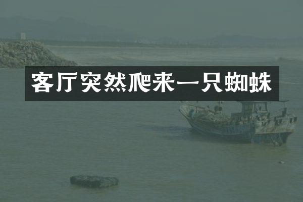 客厅突然爬来一只蜘蛛