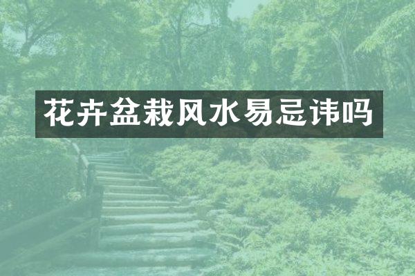 花卉盆栽风水易忌讳吗
