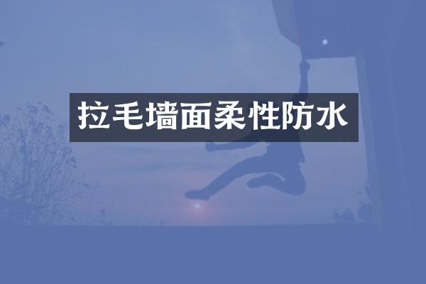 拉毛墙面柔性防水