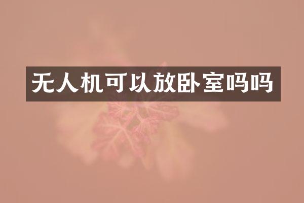 无人机可以放卧室吗吗