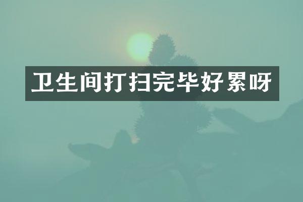 卫生间打扫完毕好累呀