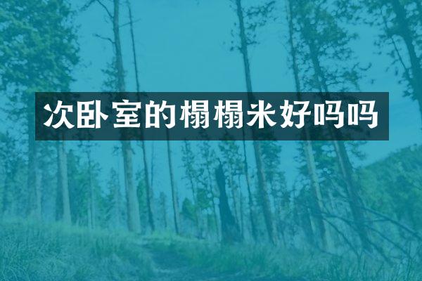 次卧室的榻榻米好吗吗
