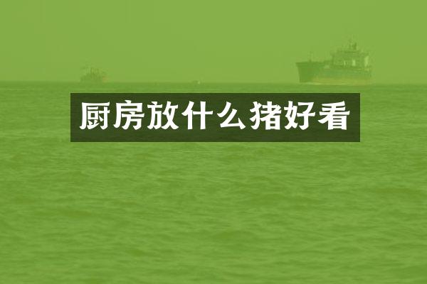 厨房放什么猪好看