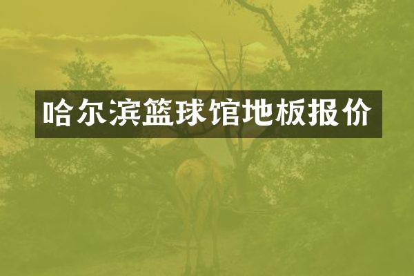 哈尔滨篮球馆地板报价