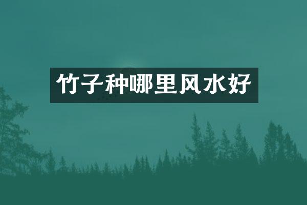竹子种哪里风水好