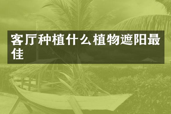 客厅种植什么植物遮阳最佳