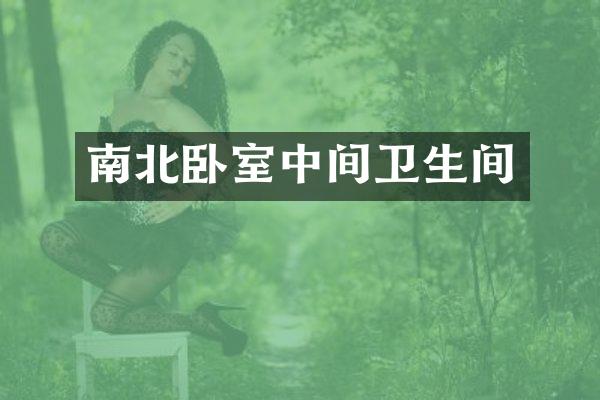 南北卧室中间卫生间