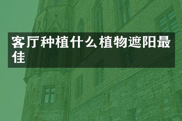 客厅种植什么植物遮阳最佳