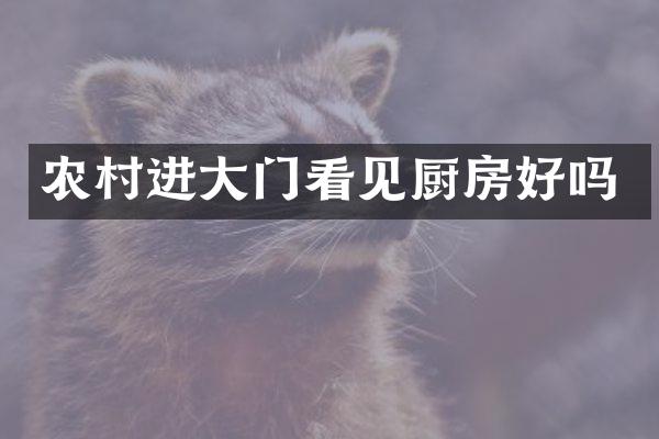 农村进大门看见厨房好吗