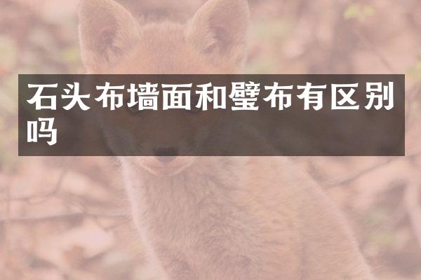 石头布墙面和璧布有区别吗