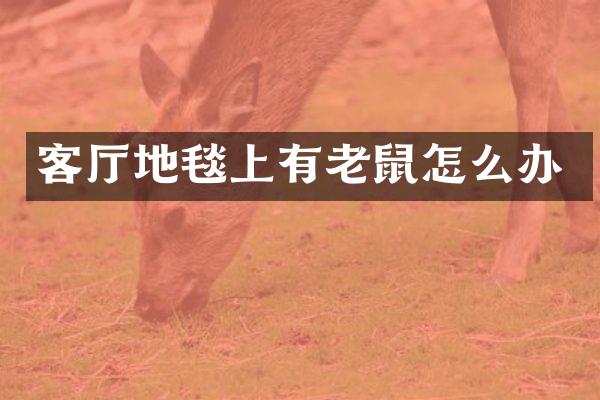 客厅地毯上有老鼠怎么办