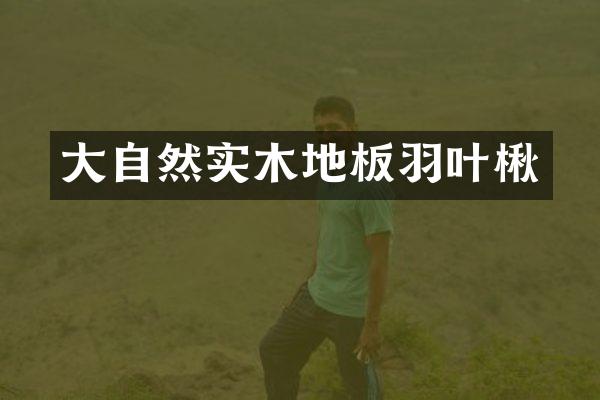 大自然实木地板羽叶楸